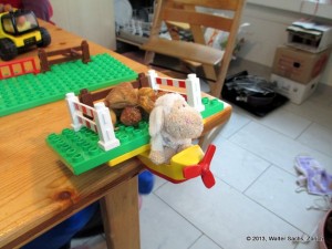 IMG_2920